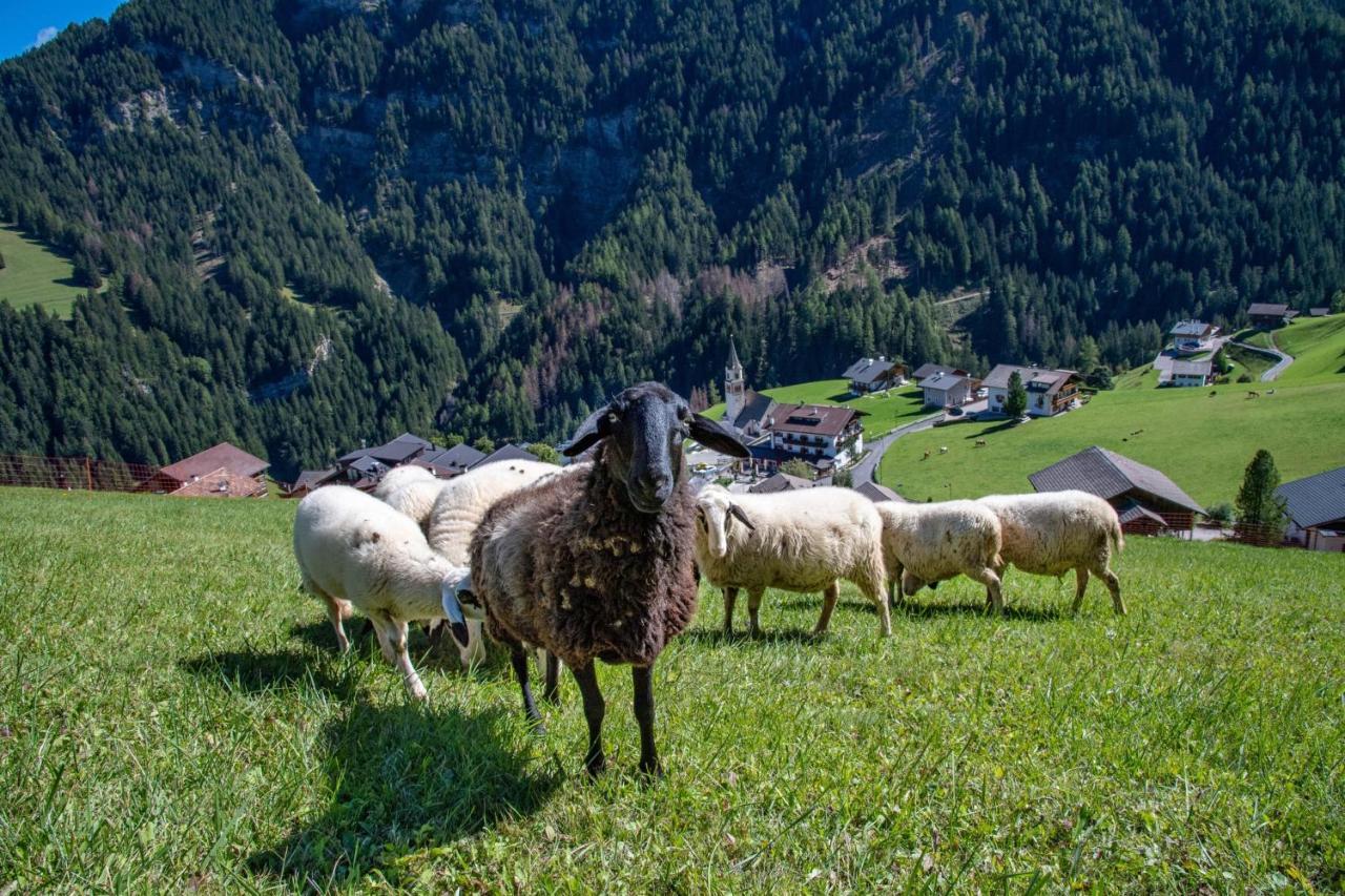 Agriturismo Apartments Tuene Ortisei Zewnętrze zdjęcie