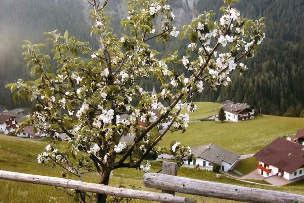 Agriturismo Apartments Tuene Ortisei Zewnętrze zdjęcie